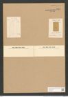 Cocconeis placentula Ehr. (de-Toni-Nr.: Genus 40, Species 1844) Zeichnungen Sammlung Grunow Nr. 3644 (NHMW-BOT-W0371255)
